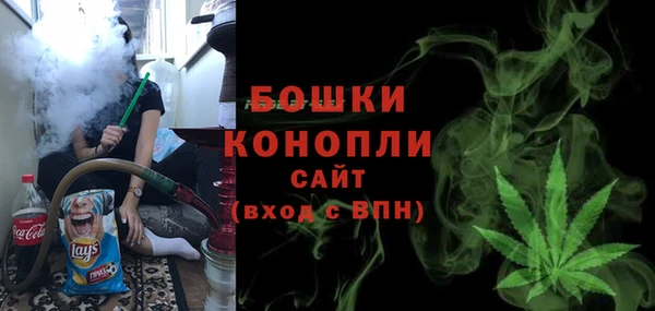 молекула духа Арсеньев