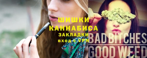 молекула духа Арсеньев