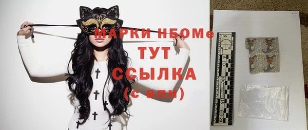молекула духа Арсеньев