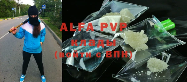 молекула духа Арсеньев