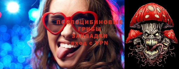 молекула духа Арсеньев
